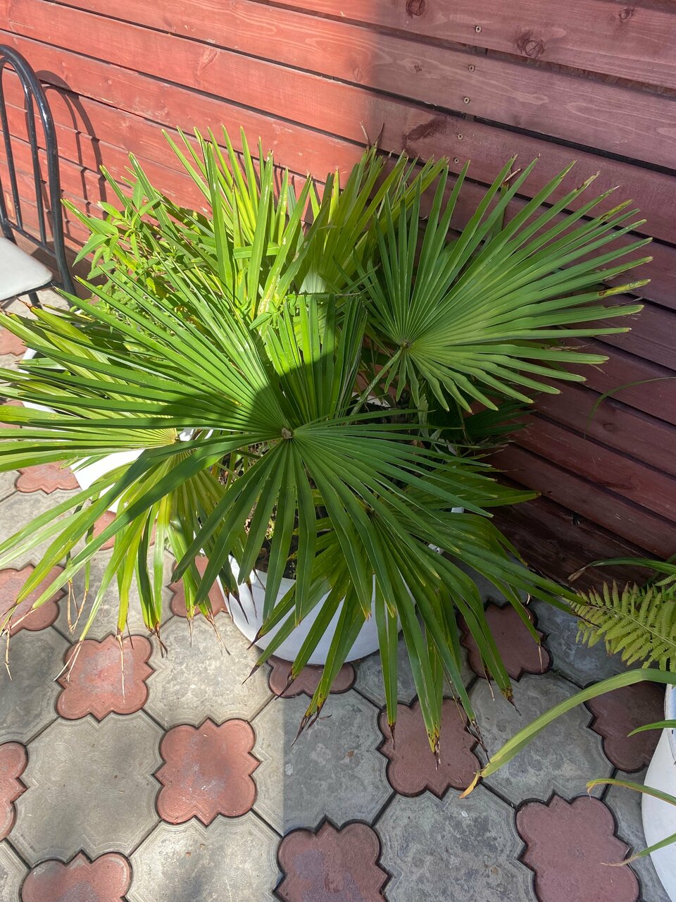 Гостиница Ростовчанка Лазаревское-225