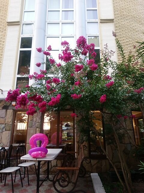 Гостиница Ростовчанка Лазаревское-166