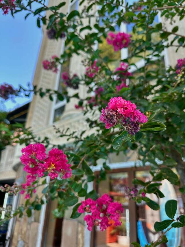 Гостиница Ростовчанка Лазаревское-119