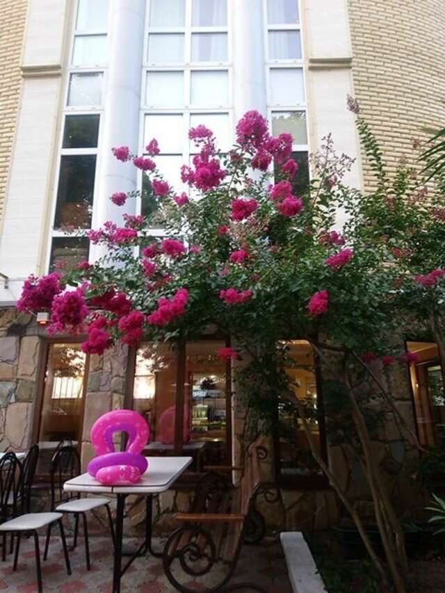 Гостиница Ростовчанка Лазаревское-165