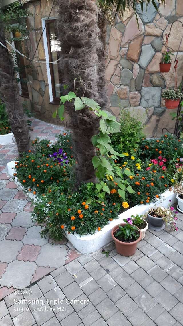 Гостиница Ростовчанка Лазаревское-169