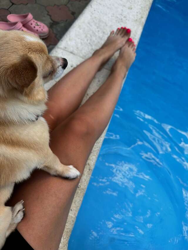 Гостиница Ростовчанка Лазаревское-135