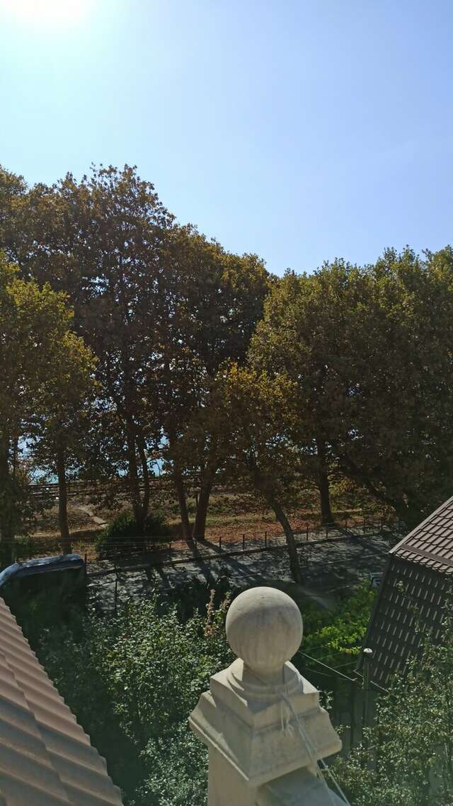 Гостиница Ростовчанка Лазаревское-196